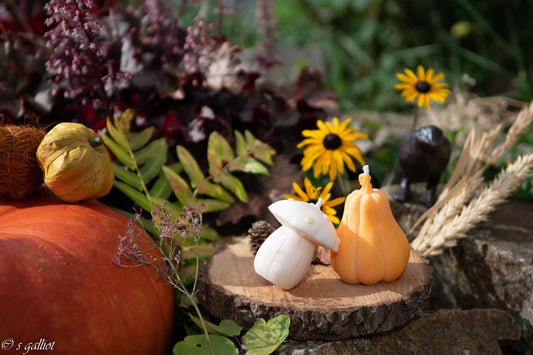 Bougie Jack o’ lantern