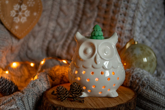 Brûle-parfum Hibou🦉-Diffuseur pour Fondants Parfumés | Décoration Cocooning