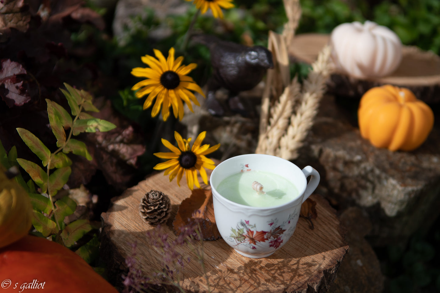 Bougie Tasse Feuilles