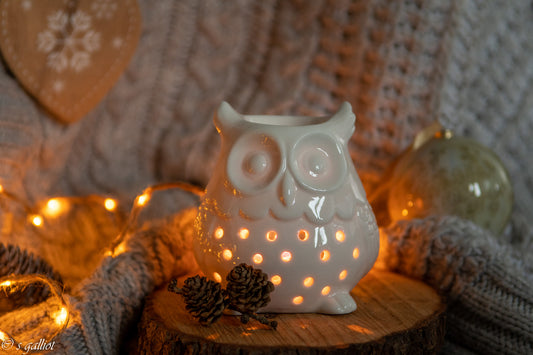 Brûle-parfum Hibou🦉-Diffuseur pour Fondants Parfumés | Décoration Cocooning